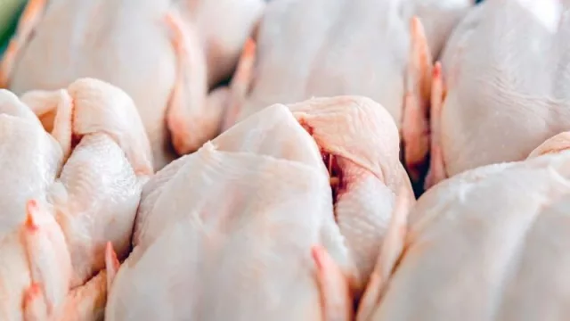 Preocupa al sector avícola paraguayo ingreso de pollos provenientes de Brasil