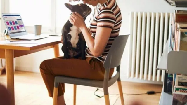 Sancor Seguros lanza una cobertura especial por COVID-19 (qué “problemas” cubre)