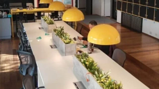 Algunos coworking ya abren sus puertas (límites y nuevas modalidades de trabajo en la categoría)