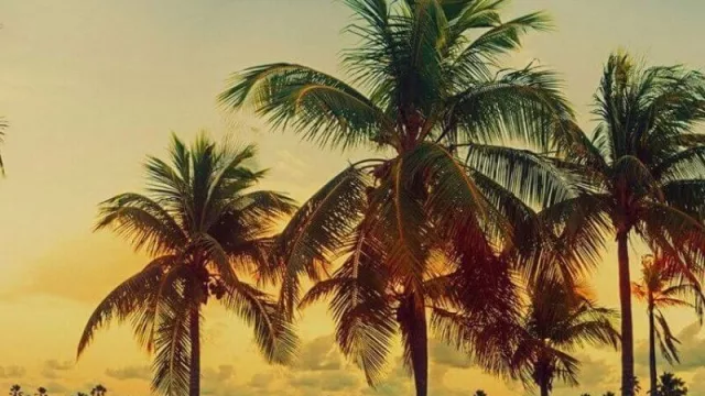 No comprés dólares a $ 125: Grupo Mas Viajes lanzó el “Travel voucher” a $ 90 (para viajar, claro)