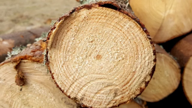 Nada se pierde, todo se transforma en calor