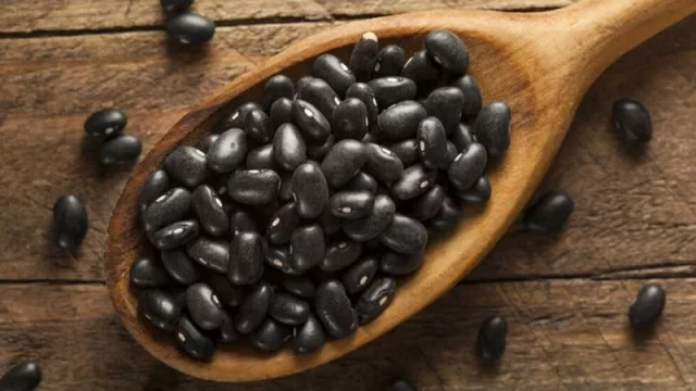 México adjudicó 100 mil toneladas de porotos negros y Salta quiere ser parte del negocio