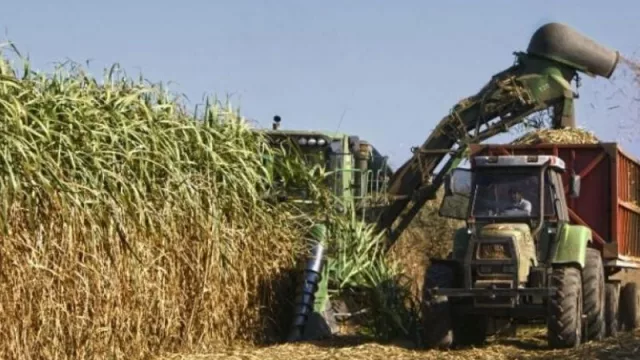 Claves para un año exitoso en la industria azucarera de Tucumán frente a la pandemia 