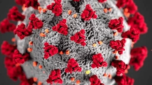 Por qué no serviría un “pasaporte sanitario” que identifique a curados del COVID-19 (y otras respuestas)