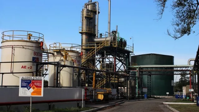 La crítica realidad de uno de los sectores productivos fundamentales en Tucumán