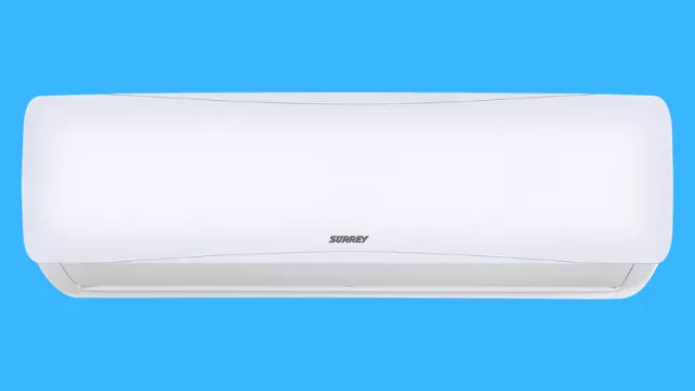 Con este nuevo Surrey, al clima lo definís vos (y él te sigue) 		