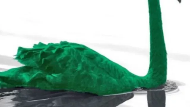 Ganadores y perdedores con la llegada del "cisne verde" del COVID-19 (la mirada desde InvertirOnline)