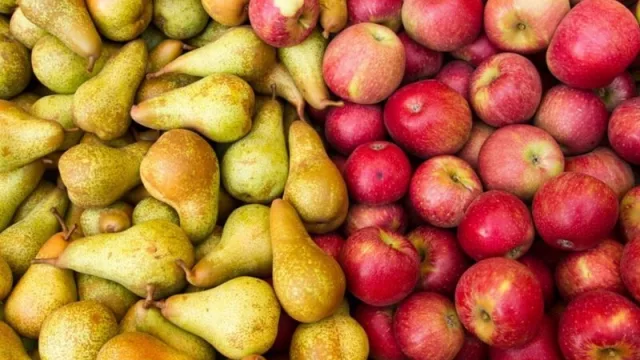 Fruticultores y el compromiso antes de terminar la cosecha (batallan con empleo y dólares)