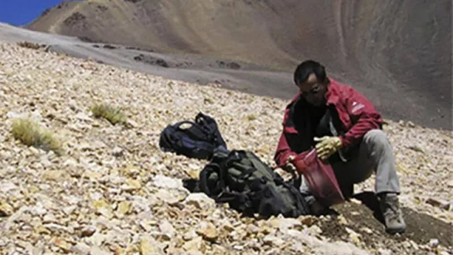 ¿Cuál fue la única provincia que generó empleo privado en 2019?