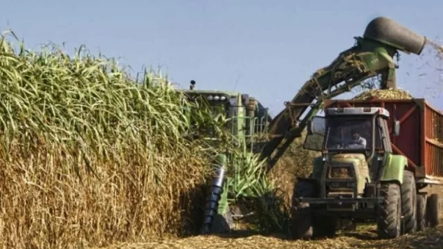 Rocchia Ferro aseguró que la zafra 2020 comenzará con el pie derecho 