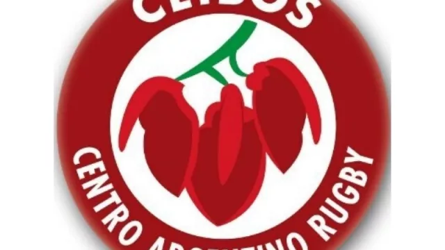 Con Ceibos el rugby profesional planta bandera en Córdoba (sueldos desde US$ 500 a US$ 3.000)