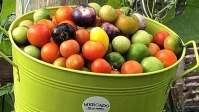 "De la huerta a la mesa", Mercado de la Tierra te arma tu huerta a domicilio (a partir de $ 3.000 y 2 m2)