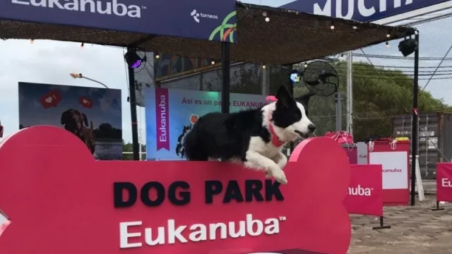 Eukanuba promueve que tu perro esté activo (y este año incorpora alimentos húmedos y galletas)
