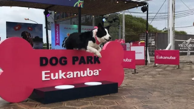 Eukanuba presente con un stand y Dog Park en el Córdoba Open.  