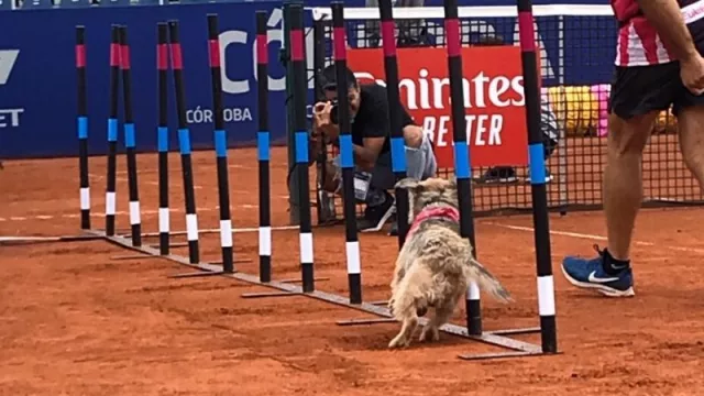 La Jauría, escuela argentina de destreza canina, realizó junto a Eukanuba una demostración de Agility en la previa de la final de Córdoba Open.