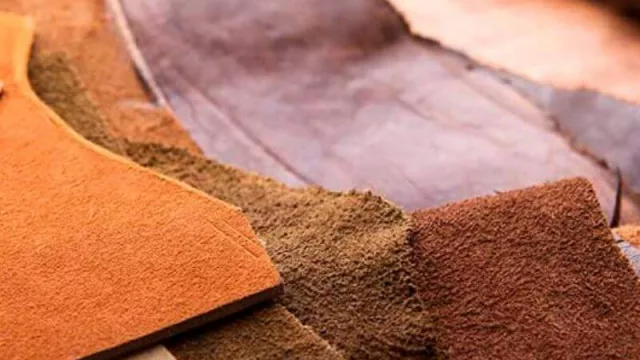 No diga cuero si es plástico: la cadena de valor del cuero impulsa normativa para la correcta denominación