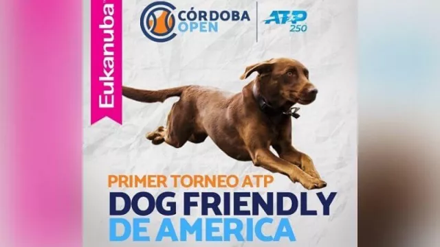 ¿Tenés perro? Eukanuba e InfoNegocios te invitan al Córdoba Open (un ATP dog friendly)