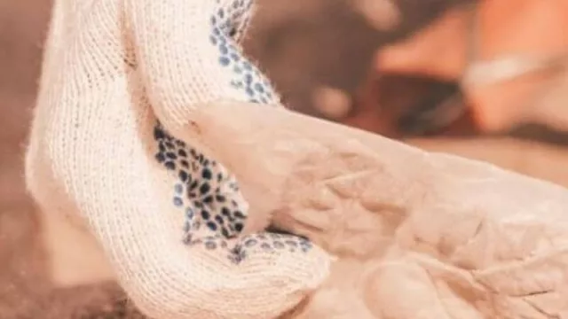 Corona lanza nuevamente su campaña para limpiar las playas frente a la contaminación por plástico (el 22 de febrero en Córdoba)