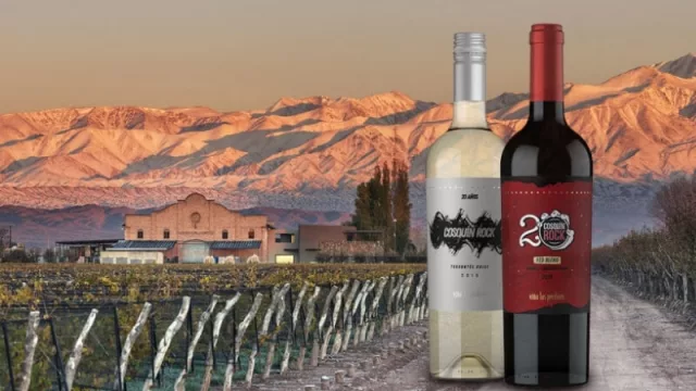 Así es el nuevo vino que lanzaron Cosquín Rock y Viña Las Perdices.