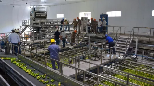 Exprimiendo industrias: Ledesma sigue creciendo en el negocio de frutas y jugos