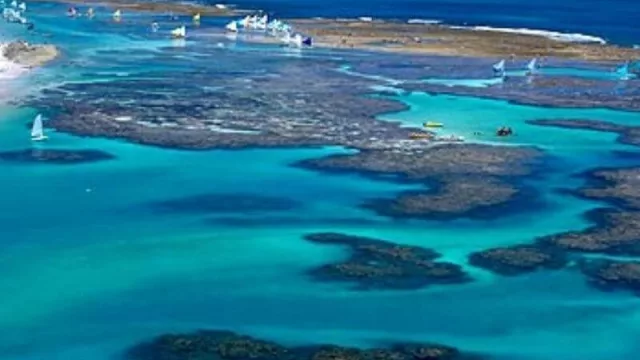 La AFIP reglamentó el impuesto del 30% a los viajes al exterior (agencias de viajes de Guatemala a Guatepeor)