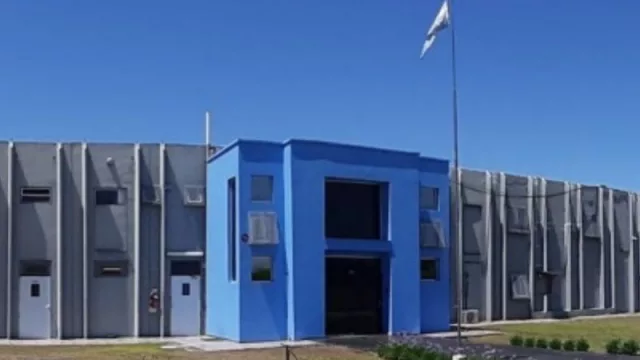 Alican (Sieger) produce alimentos húmedos para que perros y gatos se den “un gustito” (y comienza a exportar)