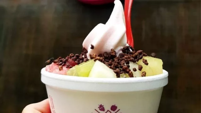 Be Fruit, la empresa de yogurt helado, llega a Villa Carlos Paz (justo para la temporada alta)