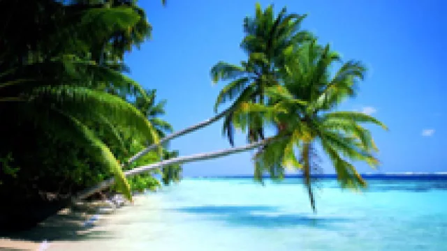 Qué bien se vive, en el Caribe (pero no por ahora)