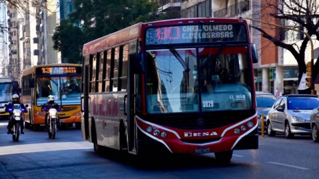 Esquema de servicios municipales durante el 18 de noviembre