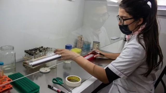 En Tucumán se habilitará el primer laboratorio público del NOA bajo normas ANMAT 