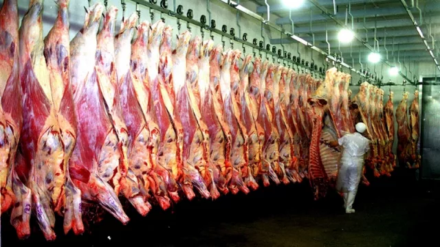 Reabrió en Corrientes un frigorífico que estuvo 9 años inactivo 