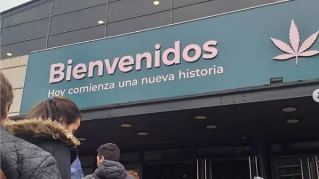 Desde dragones hasta cannabis: las exposiciones más raras (el año cierra flojito en eventos pero con pocas cancelaciones)