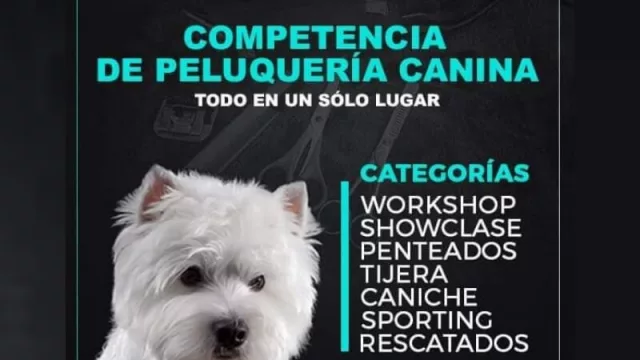 Llega Expo Groomer’s a Córdoba: el evento del año para estética canina (uno de los negocios más rentables y en constante crecimiento)
