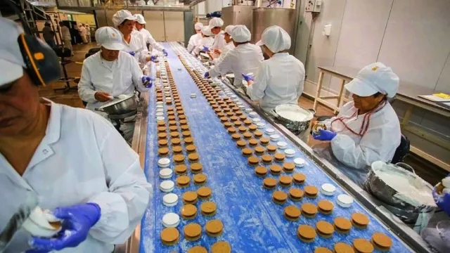 Alfajor Grandote en extinción: cheques rebotados, créditos impagos y juicios laborales millonarios