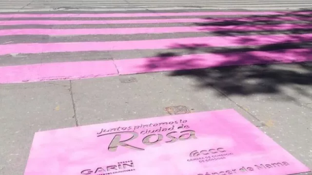 No, no fue la Pantera Rosa, es la Cámara de Comercio que se suma a #CórdobaRosa (por una noble causa)