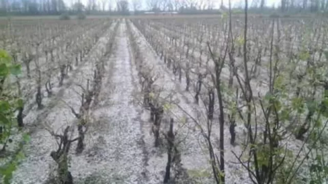 Programa Solar contempla un incentivo económico de $18 mil para productores afectados por contingencias climáticas