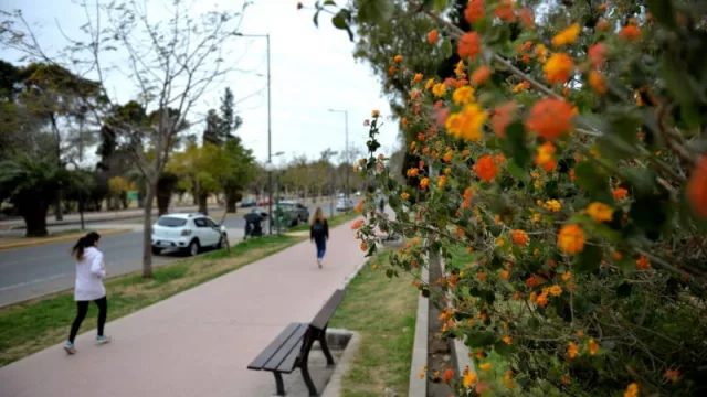 Nuevas veredas y bancos revalorizan el Parque Sarmiento