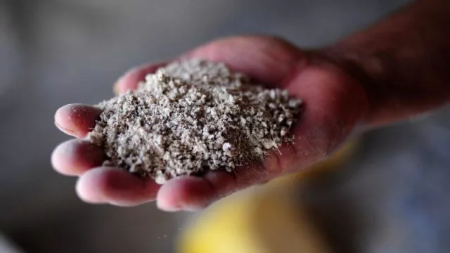 La planta de almidón de Puerto Esperanza comenzarán la producción en pocos días