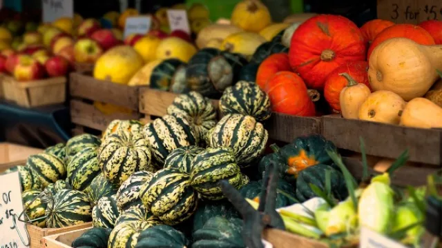 Se está informando para iniciar una dieta vegetariana...