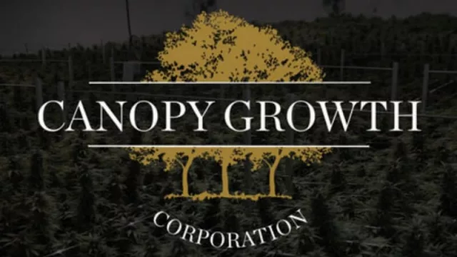 Preparando el negocio: empresa canadiense de "medicina cannabinoide" desembarca en Argentina para brindar capacitación