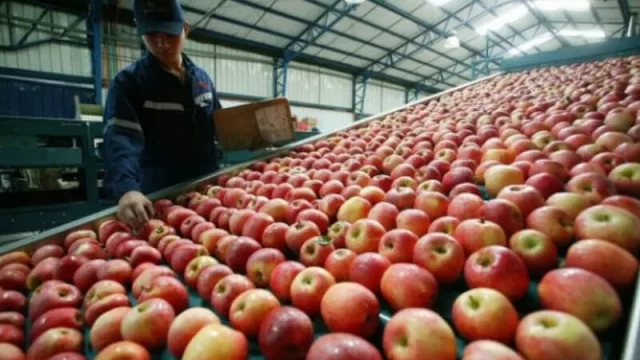 El plan de $ 560 millones de los productores frutícolas de la región 