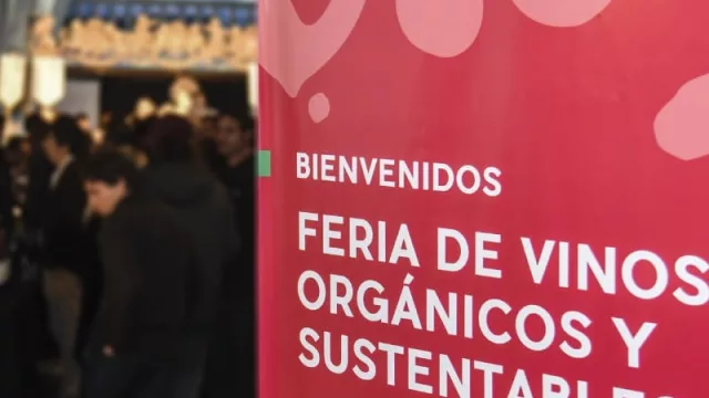 Orgánicos y biodinámicos: los vinos que están cambiando el mercado (el 95% de la producción se exporta)