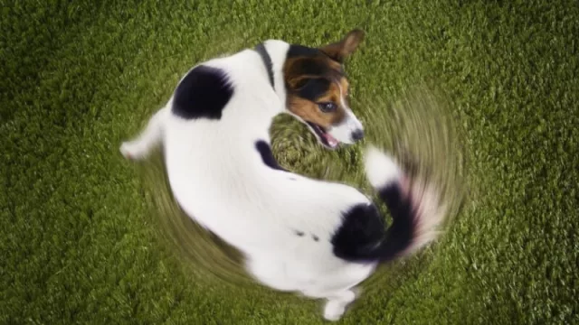 Sobre el tipo de cambio en Argentina y Tío Alberto, dice...