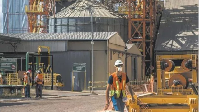 A pesar del predominio del agro, la recuperación se explica por cada vez más sectores