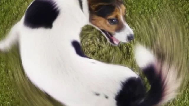 Tío Alberto, ¿tiene razón? El tipo de cambio real está a niveles de diciembre del 2015 (un perro que se muerde la cola)