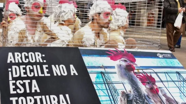 Piden que Arcor deje de usar jaulas en batería para gallinas (como Nestlé, Unilever y Mondelez)