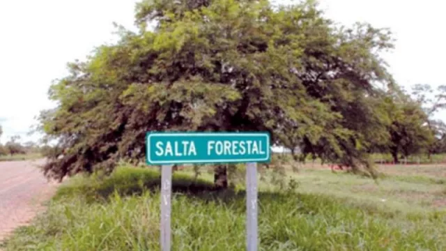 La empresa estatal Salta Forestal invertirá sus ganancias en obras y escuelas