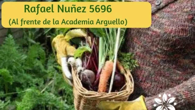 De virtual a real: Orgánicos de mi Tierra abrió un almacén agroecológico en Argüello