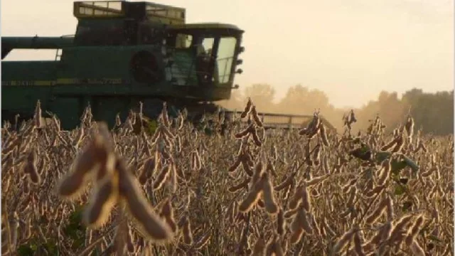 La economía repuntó 2,6% en mayo y quebró la tendencia de un año de caída