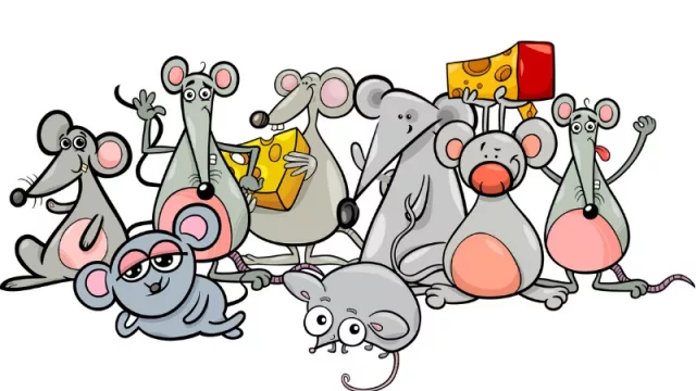 Las cosas como son: los cordobeses, ratones